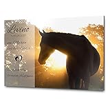 Pferdeschild Boxenschild mit Foto und Wunschtext | AluDidond Alu Verbundplatte | 30x20 cm | sofort...