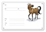 FOXCUP NasitosBoxenschild/Stalltafel Diva (braun)