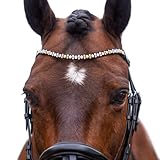 MagicTack Stirnriemen für Pferde Größe Warmblut Trense Gold, Silber (43cm)