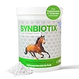 NutriLabs Synbiotix Pulver für Pferde Darm & Verdauung 800g - Gesundheit Pferd - Pferde...