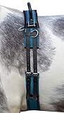 HKM Longiergurt Canvas mit Doppelgriff (Mini Shetty, Navy/Sky Blue)