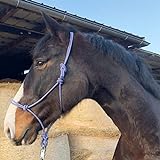 Knotenhalfter für Bodenarbeit Pferd - Knotenhalfter Cob optimal für Freiarbeit, Bodenarbeit,...