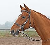 BUSSE Wanderreittrense SOLIBEL