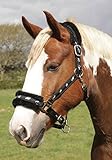 Rhinegold 0 Logo Headcollar Fleece Trim-Cob-Black Halfter, Schwarz