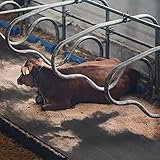 Floordirekt Stallmatte aus Gummi für Tierhaltung - Pferdematte Paddockmatte- gelenkschonend,...