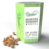 Pasalus Pferde Bachblüten Rohrzuckerwürfel bei Angst, Stress und Schreckhaftigkeit - Für Turnier...