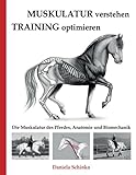 Muskulatur verstehen - Training optimieren: Die Muskulatur des Pferdes, Anatomie und Biomechanik