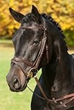 Stübben Trensenzaum 2017 Antrim - Tobacco/Tobacco - Warmblut (WB) - kombiniertes Reithalter