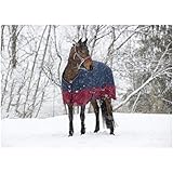 Winterdecke 150g Füllung TYREX 1200D EquiTheme Marineblau/Bordeauxrot 155cm