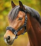 WALDHAUSEN Kappzaum Economic, Nylon schwarz Warmblut