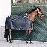 Kentucky Magnetic Rug Recuptex - Navy