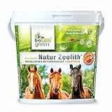 Biocaregreen Natur Zeolith Pferd | 1kg, Garantierte Vermahlung auf 50 μm | Nahrungsergänzung für...