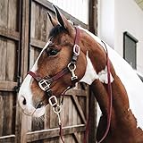 Kentucky Plaited Nylon Stallhalfter Größe: WB Farbe: Bordeaux
