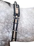 HKM Pferde Longiergurt mit Haltegriff – Gurt zum Longieren aus besonders strapazierfähigem...