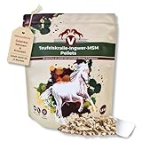 EQUIDOCS Teufelskralle-Ingwer-MSM Pellets 1,5kg | Zusatzfutter für Pferde-Gelenke mit dem Plus an...