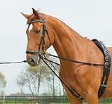 BUSSE Laufferzügel BASIC