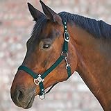 WALDHAUSEN Halfter Gloomy, WB, grün