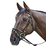 WALDHAUSEN STAR Trensenzaum Basic Warmblut, schwarz