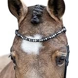 MagicTack Stirnriemen Pferd Schwarz Größe Warmblut Bling geschwungen