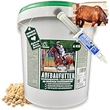 Sojaschrot Pferd - Aufbaufutter Pferd & Amino Booster 6Kg 30ml Pferdefutter Senior I Vitamin E Pferd...