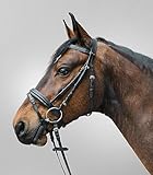 STAR WALDHAUSEN Trensenzaum Diamond Shetty, schwarz
