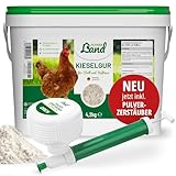 HÜHNER Land Kieselgur für Hühner 4,2kg INKLUSIVE Profi Zerstäuber - Reines Kieselgur Hühner...