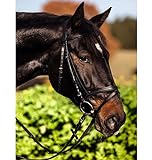 Kerbl 32170 Trensen-Zaum Standard Leder für Pony, schwarz