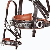 Heinick-Reitsport Profi Leder KAPPZAUM Edelstahl mit Gebissriemen Naseneisen ~ Braun-Chestnut ~...