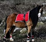 Antik Schabracke Set Cosima Schwalbenschwanz Barock Show Minishetty Shetty Rot Lila Weiss Wollweiss...