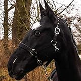 Pferdelinis Halfter für Warmblut, Vollblut, Kaltblut, Pony – Stallhalfter, Weidehalfter, 2-Fach...