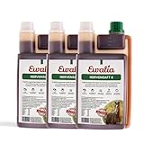 NEU! EWALIA Nervensaft II - Gezielte Unterstützung für konzentrierte Leistung bei Pferden - Ideal...