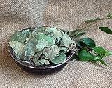 Naturix24 – Birkenblätter ganz – 1 Kg Aromaschutzbeutel