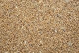 FutterXL 25 kg Weizen, direkt vom Landwirt