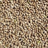 SUPRAVIT Hanf 5kg - Hanfsamen Vogelfutter & Wildvogelfutter - energiereiche Ergänzung zum...