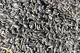 10kg Schwarze Sonnenblumenkerne
