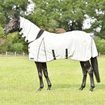 Busse Ekzemerdecke PADDOCK