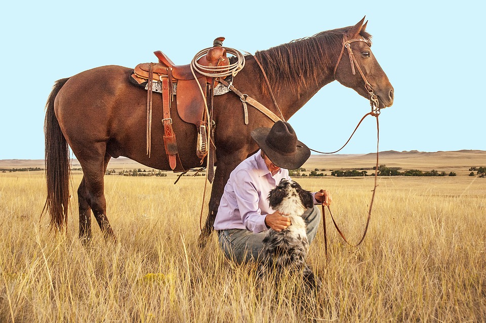 Cowboy Pferd mit Westernsattel