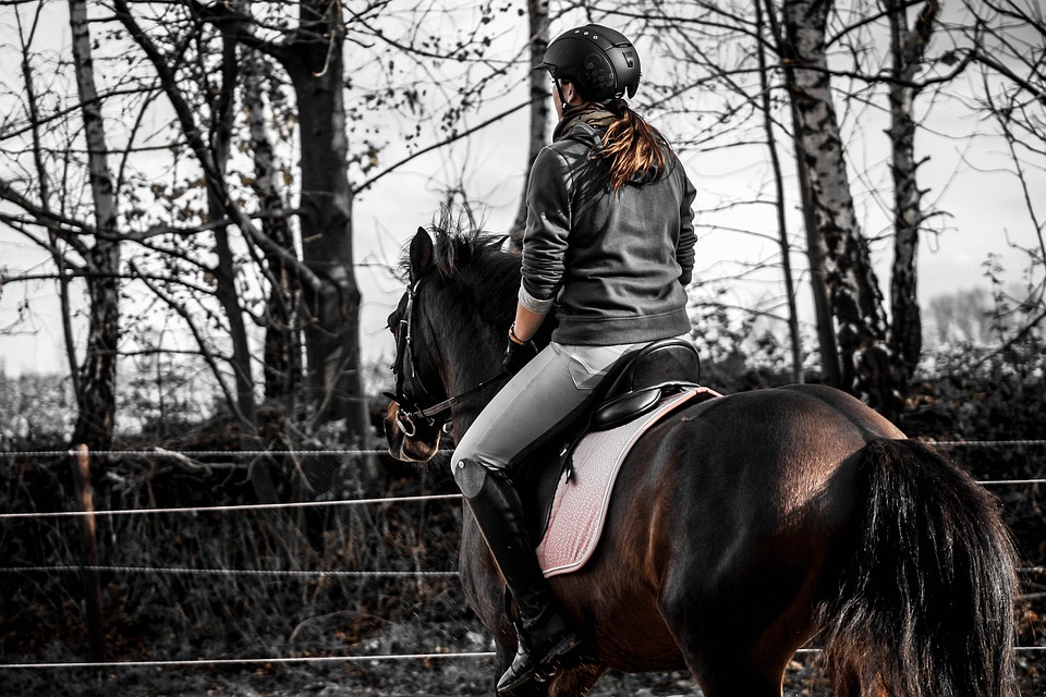 Dressurreiten