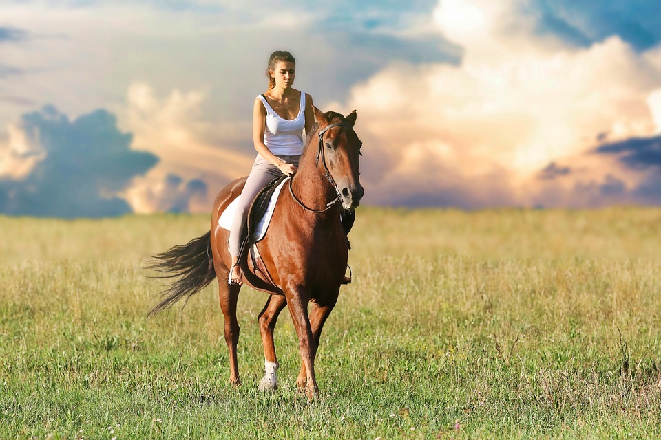 Pferd mit Reiterin