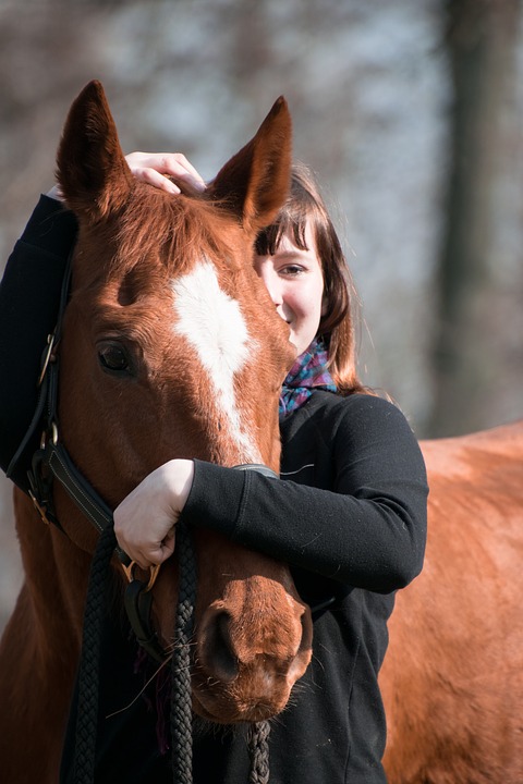 Pferd mit Reiterin