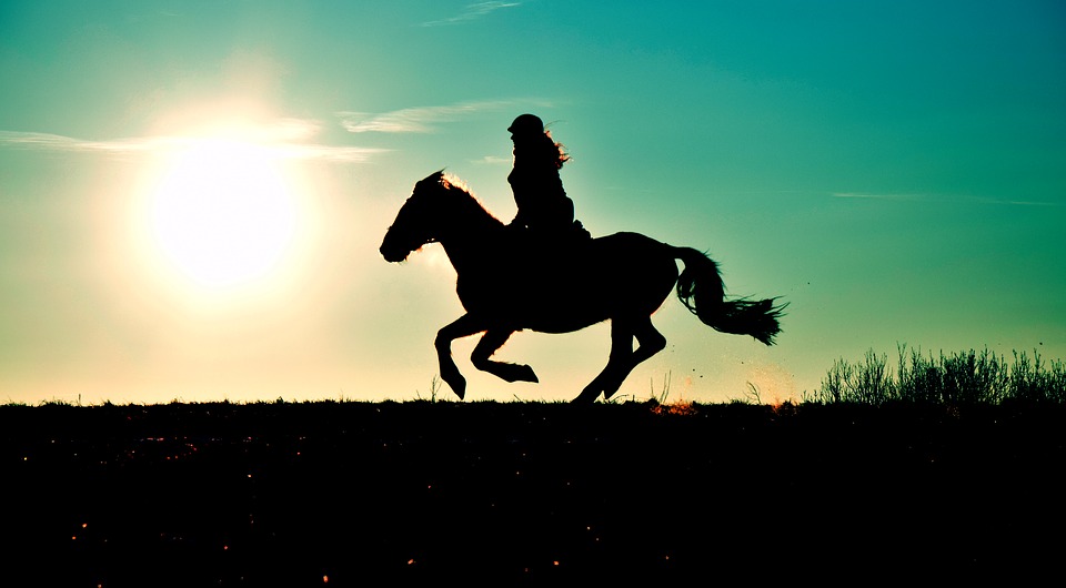 Reiten im Sommer mit Jodhpur Hose