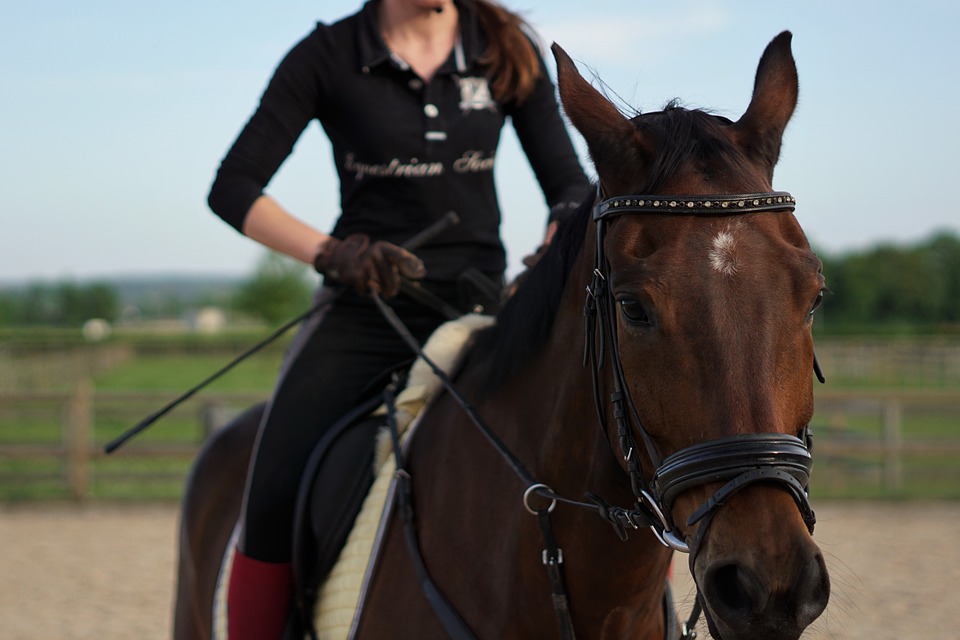 Reiterin mit Pferd