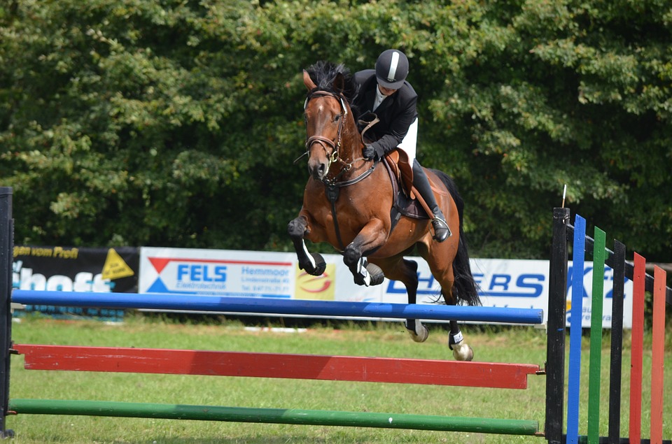 Reitturnier mit Jacket