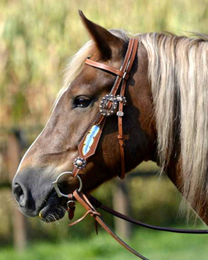 Wildhorn Westerntrense