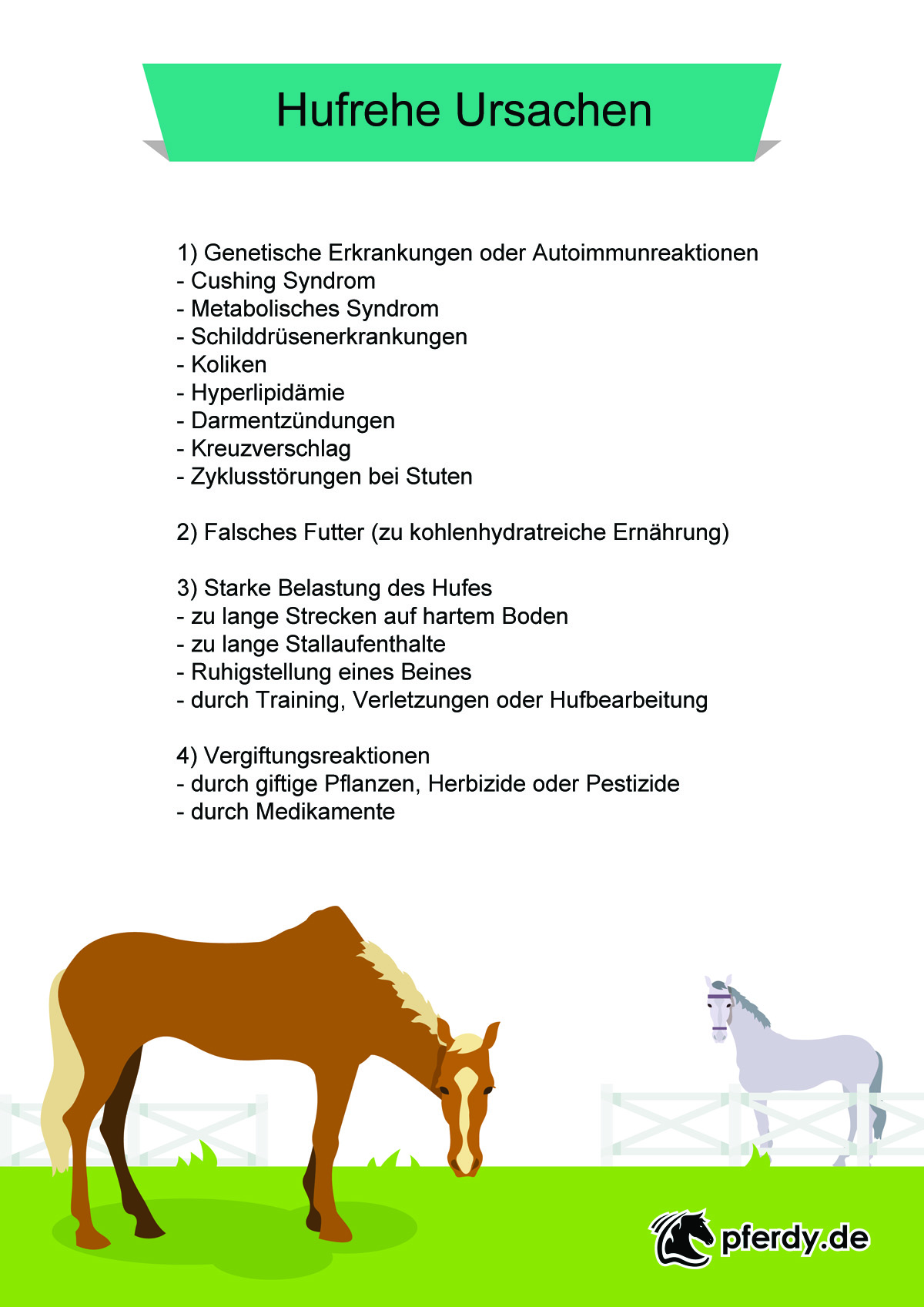 Hufrehe Ursachen
