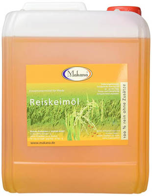 Reikeimöl Pferd